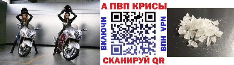 А ПВП СК  Судогда 