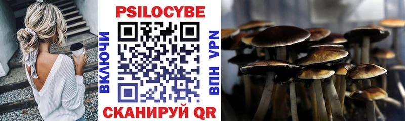 Галлюциногенные грибы мухоморы  Судогда 